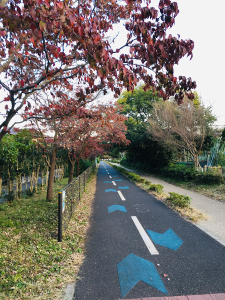 東京で一番長い直線 多摩湖サイクリングロード におすすめなバイク5選 Cycletripブログ