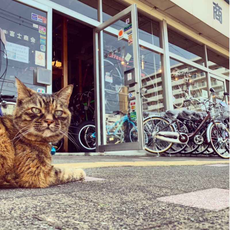 ウーバー イーツ 自転車 貸出